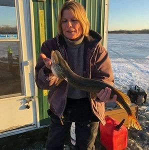 Meet your Posher, Dawn